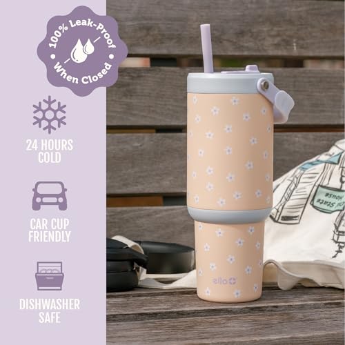 Oasis Go+ 26oz Insulated Stainless Steel Tumbler with Straw