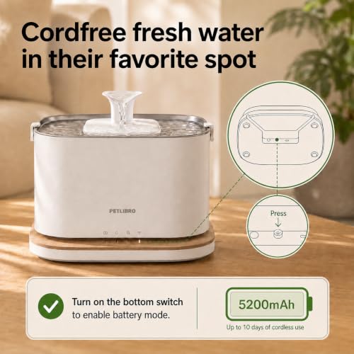 Upgrade Cat Water Fountain
