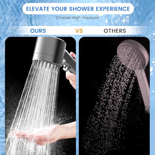 Filtered Shower Head with Handheld (3 Count)