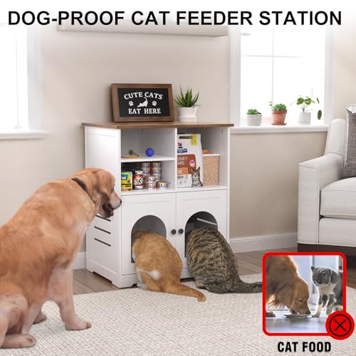 Cat Feeding Station for Microchip Feeder with Dog