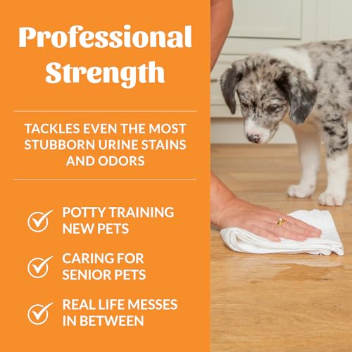 Dog Urine Destroyer One Gallon Refill (128 Fl Oz)