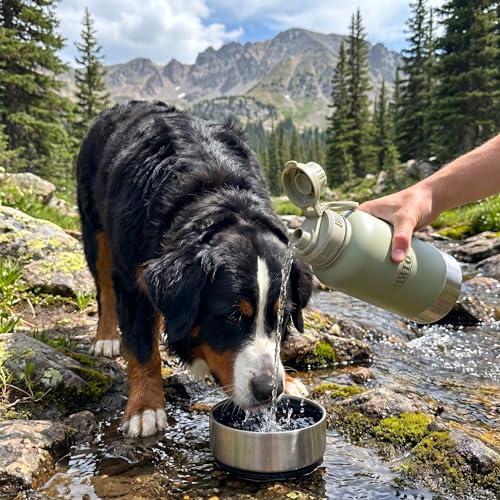 Outdoor Dog Water Bottle with 2 Stainless Steel Bowls