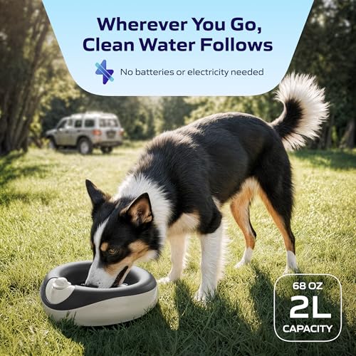 Maxi Portable Filtered Pet Water Bowl