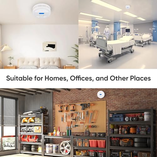 Interconnected Smoke and Carbon Monoxide Detector