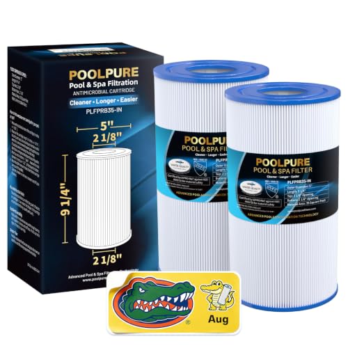 PRB35 IN Spa Filter Replaces Unicel C (2 Count )