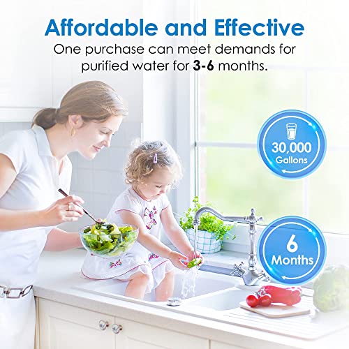 FXHSC Whole House Water Filter for GE® FXHSC (4 Count)