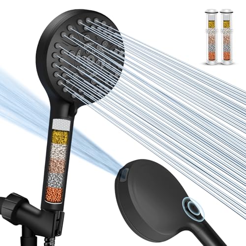 Filtered Shower Head with Handheld