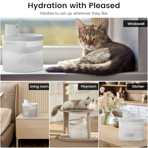 Cat Water Fountain Cordless
