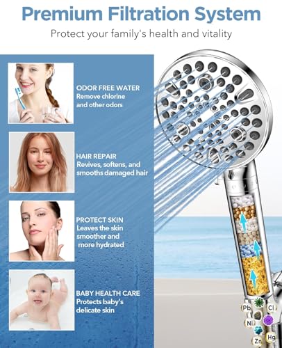 Filtered Shower Head with Handheld