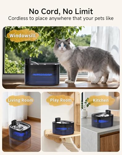 Cat Water Fountain Cordless