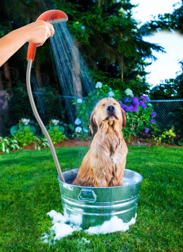 Portable Outdoor Shower