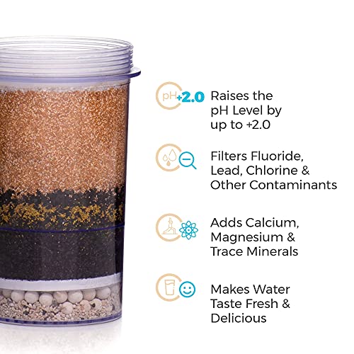 Fluoride And Chlorine Replacement Filter Gravity Water System