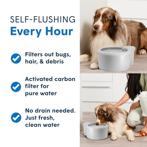 9" Self Refilling Dog Water Bowl with Wall Unit