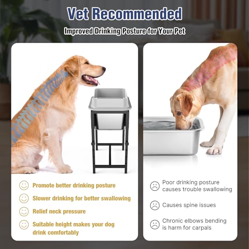 Adjustable Elevated Dog Bowl