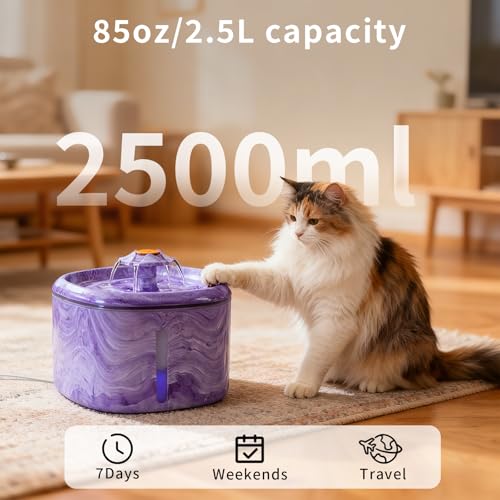 Cat Water Fountain Purple