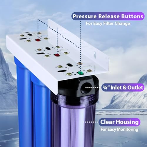 WCB32CKS+AHPF12MNPT12X2 Heavy Metals Whole House Water Filter System w