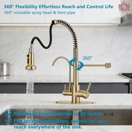 Commercial 3 in 1 Spring Brushed Gold Kitchen Faucet