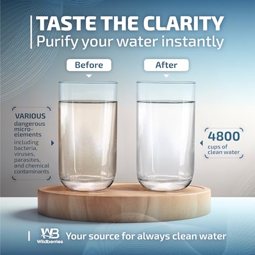 DA29 00020B Replacement for Samsung Water Filter DA97 (2 Count)