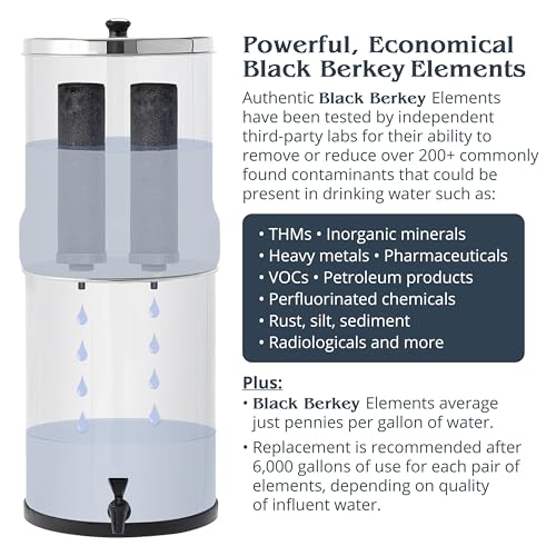 Travel Berkey Gravity