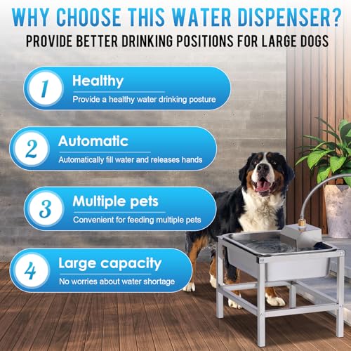 3Gal Automatic Dog Water Bowl Dispenser for Large Dogs Outdoor