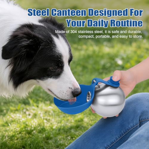 Portable Dog Water Bottle 10oz Stainless Steel Travel Dog Water Dispenser with Bowl No