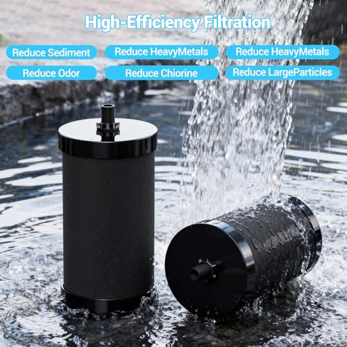4 Pack Replacement Water Filters for Alexapure 2387 Pro