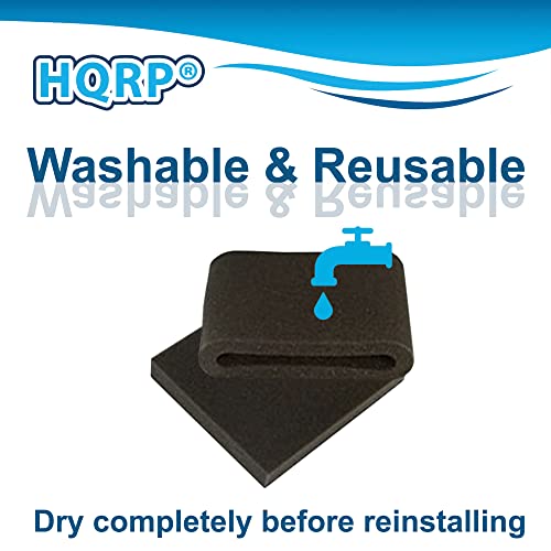 2 Pack Filter Set Compatible with Bissell Lift