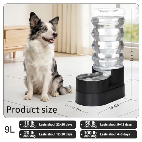 9L Elevated Dog Waterer
