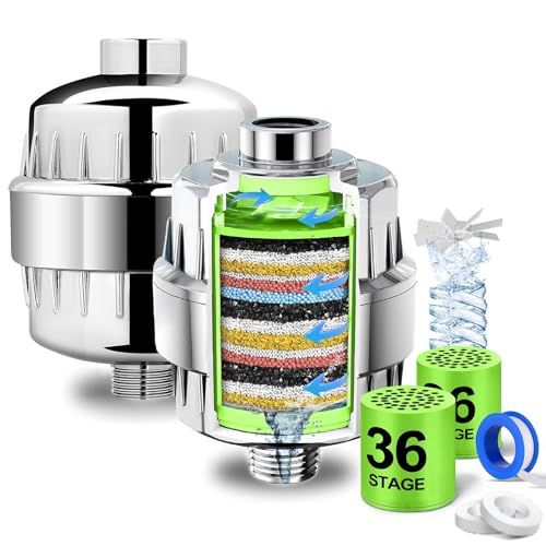 2 Pcs Shower Filter (2 Count)