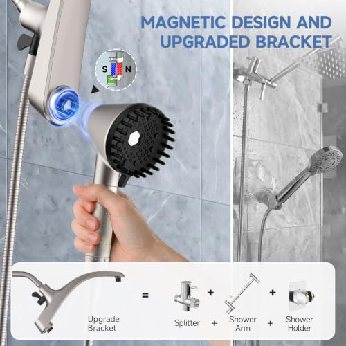 Shower Head with Handheld