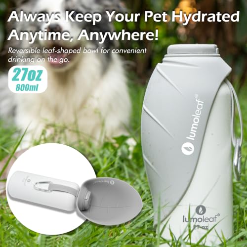 Insulated Dog Water Bottle 27 oz Stainless Steel