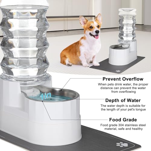 8L Elevated Dog Water Dispenser