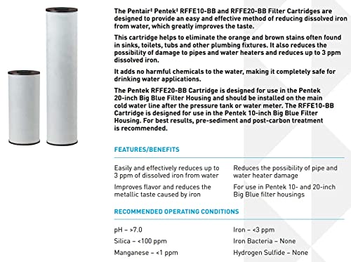 Pentair Pentek RFFE20 (2 Count)