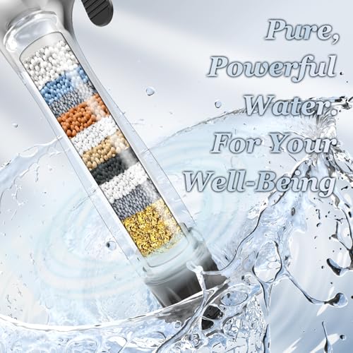 Filtered Shower Head with Handheld