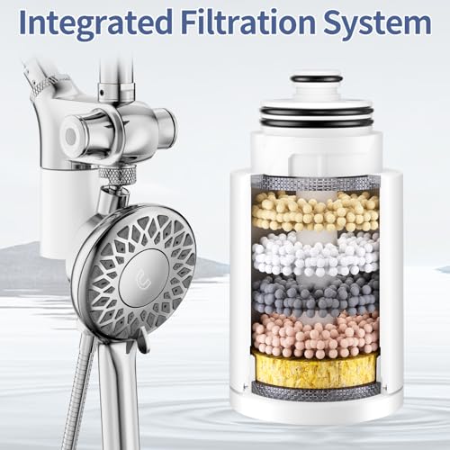 Filtered Rain Shower Head with Handheld Spray Combo