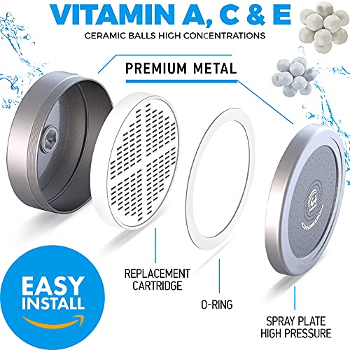 Handheld Shower Head Filter (4 Count)