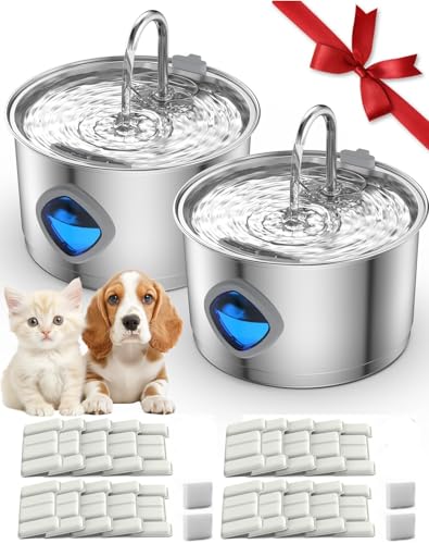 Dog Water Bowl