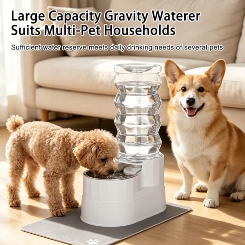 8L Elevated Dog Water Dispenser