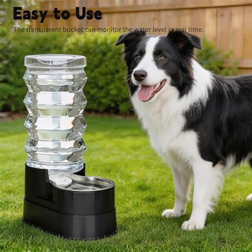 9L Elevated Dog Water Dispenser