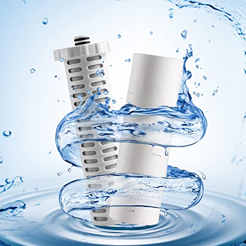 Shower Filter 720