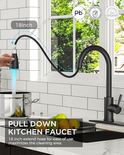 Kitchen Faucet with LED Light Sprayer