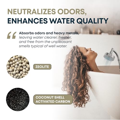 Well Water Shower Filter (2 Count)