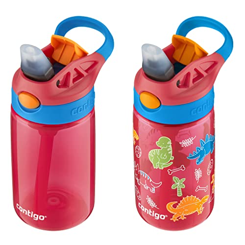 Aubrey Kids Water Bottle (2 Count)