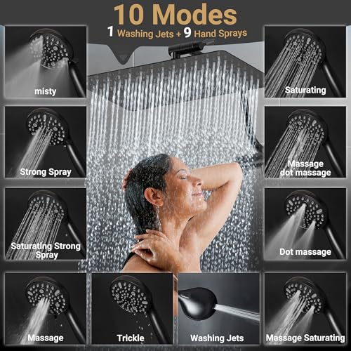 Filtered Shower Head with Handheld