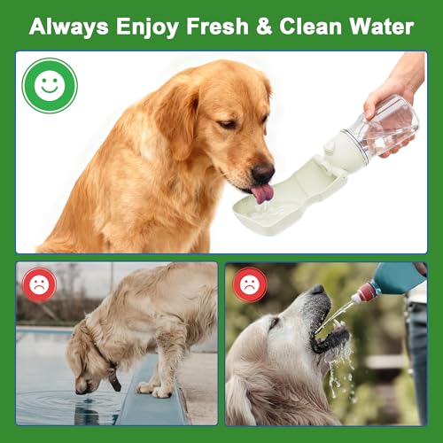 Dog Water Bottle