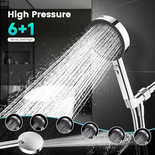Filtered Shower Head with Handheld