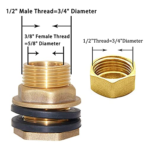 Brass Bulkhead Fitting with Plug 3