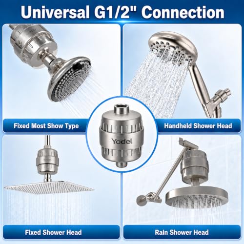 Shower Filter with 6 Cartridge Brushed Nickel (6 Count)