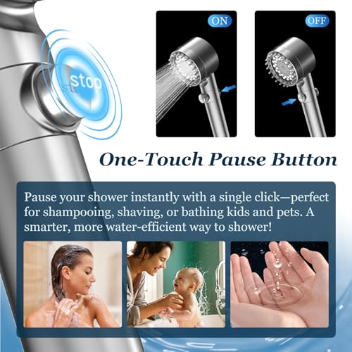 Filtered Shower Head with Handheld