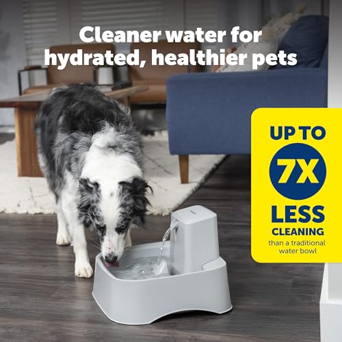 Oasys Pet Fountain